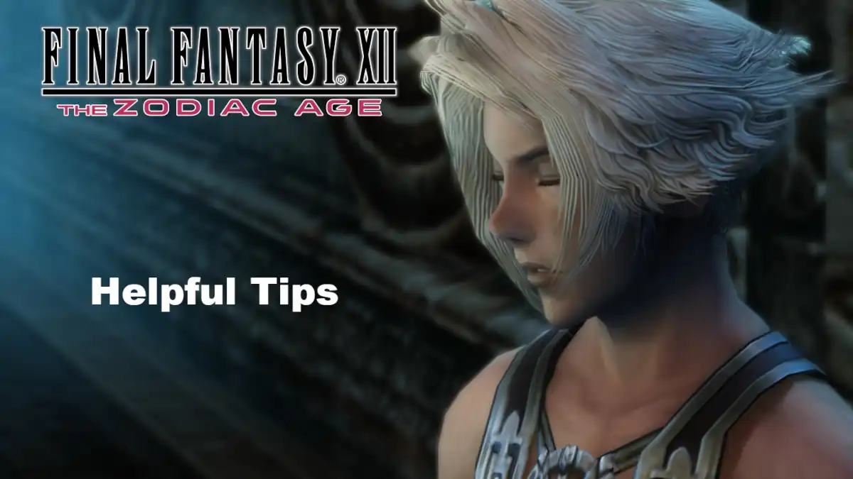 Final Fantasy XII The Zodiac Age - Tips