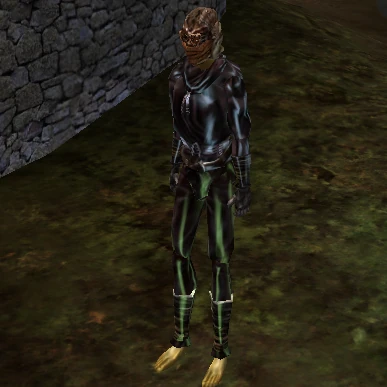 Morrowind Build - The rogue wearing dark clothes